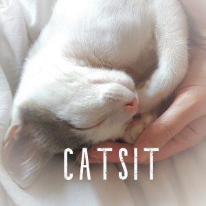 Home catsit txt